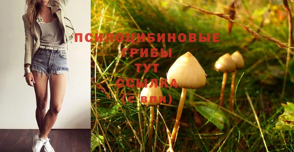 прущий лед Лабытнанги