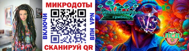 Псилоцибиновые грибы MAGIC MUSHROOMS  Купить где  Звенигород 